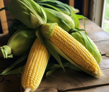 babycorn