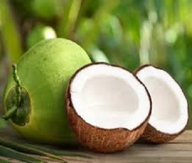 coconut