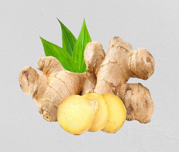 fresh-ginger-1