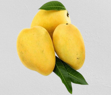 mango1