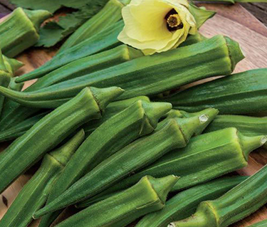 okra